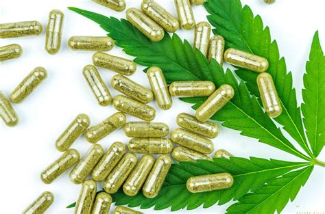 Getting To Know Cbd Capsules A Brief Guide Plants Before Pills