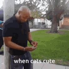 Meow Cats Cute Gif Meow Cats Cute Cats Good Discover Share Gifs