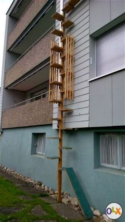 Cat Ladder I Want To Build Katt Idéer Trappa
