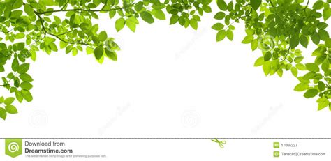 Green Leaves Border Royalty Free Stock Photography Image