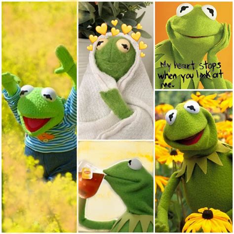 freetoedit kermit kermitthefrog frog aesthetic bored...