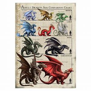 It 39 S A Skin Anne Stokes Dragon Size Chart Wall Poster Officially