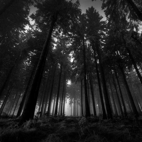 10 Top Dark Wood Wallpaper Hd Full Hd 1080p For Pc Background 2020