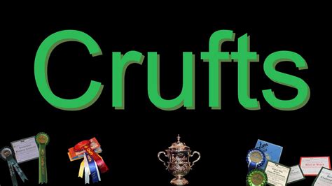 Crufts 2023 Irish Setters YouTube