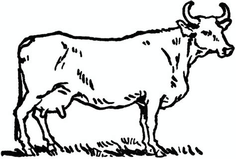 A Black And White Drawing Of A Cow Standing In The Grass With Horns On