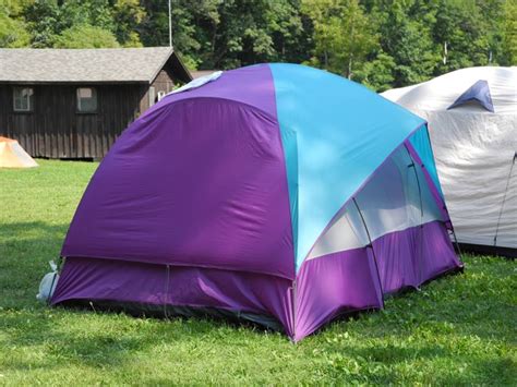 Get 5% in rewards with club o! Purple Tent & Expedition 100 Team Colors 10 Ft. X 10 Ft ...