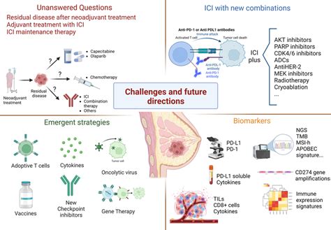 Current Challenges And Novel Immunotherapy Approaches In Breast Cancer Download Scientific