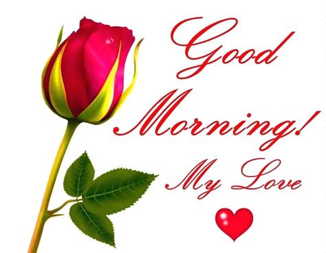 Love Red Roses Pics Good Morning Flowers Quotes Wishes Good Morning