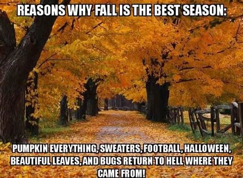 20 Best First Day Of Fall Funny Memes And Images To Get Ready For Season