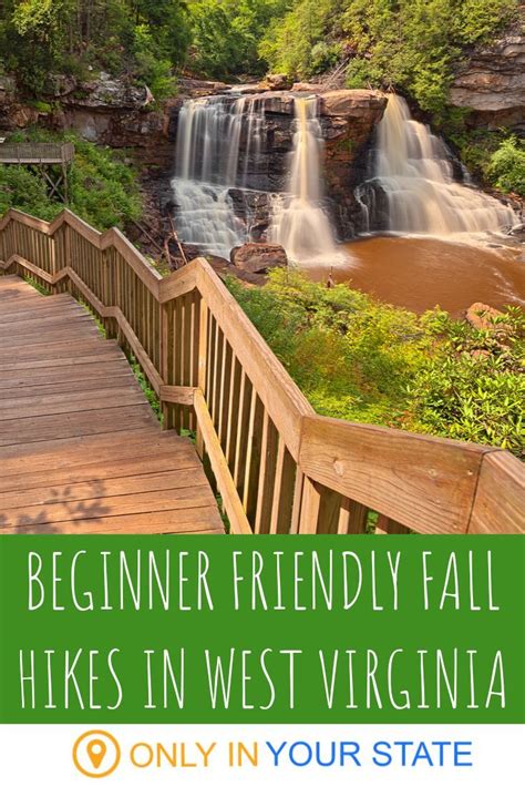 7 Of The Best Waterfall Hiking Trails In West Virginia For Beginners
