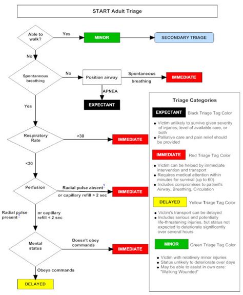 Start Triage Algorithm For Adult Patient Adapted From Download