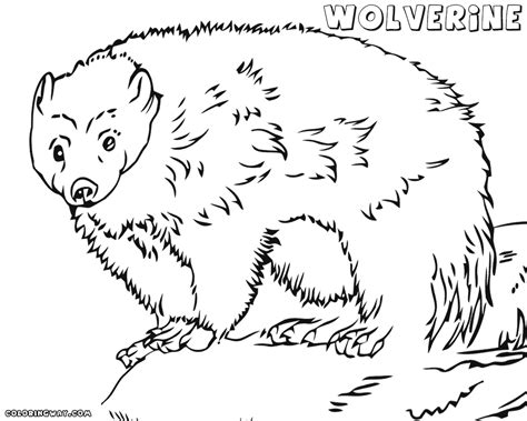 Download cat coloring sheets for free. Wolverine coloring pages | Coloring pages to download and ...
