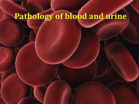 Pathology Of Blood And Urine
