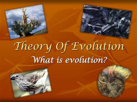 Ppt Theory Of Evolution Powerpoint Presentation Free Download Id