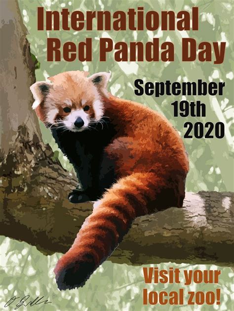 Please Follow Iloveredpandas International Red Panda Day Poster Made
