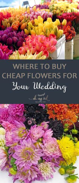 So go ahead, save a few dollars. Where to Buy Cheap Flowers for Your Wedding - Oh My Veil ...