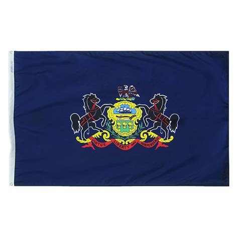 Pennsylvania State Flag 3x5 ft. Nylon Official State Design ...