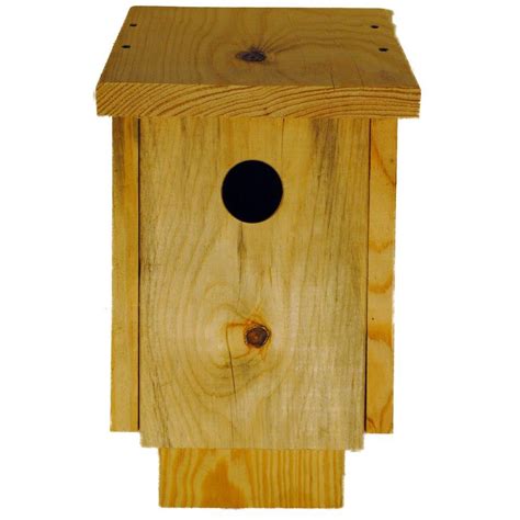 Shop for bird home decor online at target. Fly Away Homes Unfinished Pine Blue Bird House-2012011bhuf ...