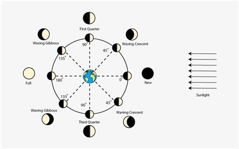 Phases Of The Moon Diagram Moon Phases With Degrees Transparent Png