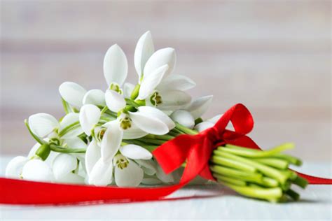7 Stunning Winter Flowers For A Wedding Bouquet