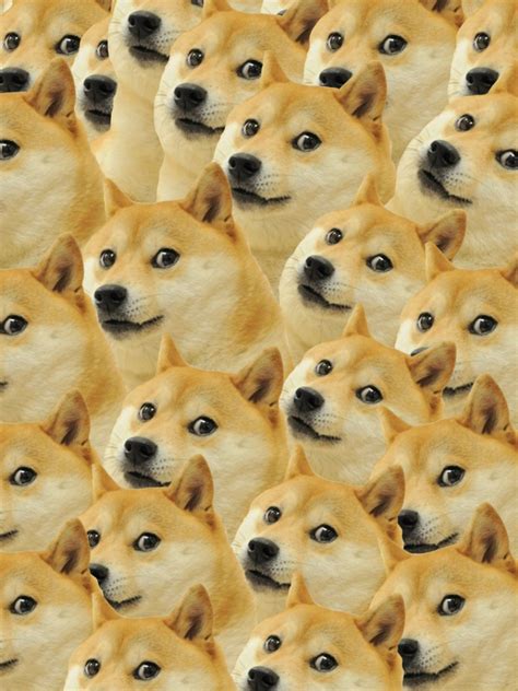 Free Download Doge Pattern Wallpaper Meme Wallpapers 27481 1920x1080