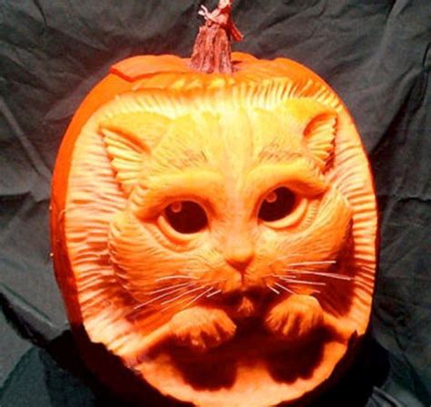 17 Coolest Pumpkins Carved Like Animals 3d Pumpkin Carving Cat