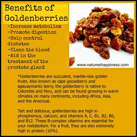 Golden Berries Nutritional Information Effective Health