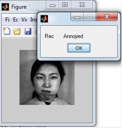 Figure 5 From A Novel Algorithm For Human Facial Expression Recognition