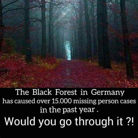 Pin By John Tabor On Weird Haunted Forest Unsolved Mystery Black Forest