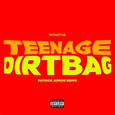 Stream Wheatus Teenage Dirtbag Patrick Junior Remix By Patrick