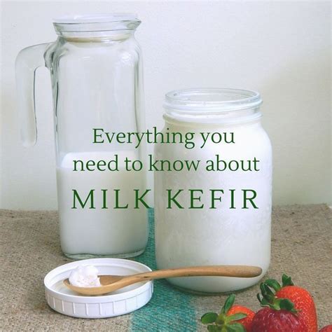 Heres Everything You Need To Know About Milk Kefir Learn How To Make