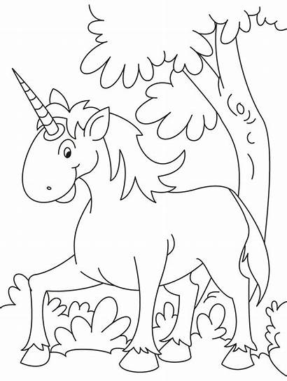 Unicorn Coloring Lukisan Gambar Fantasy Ausmalbilder Einhorn