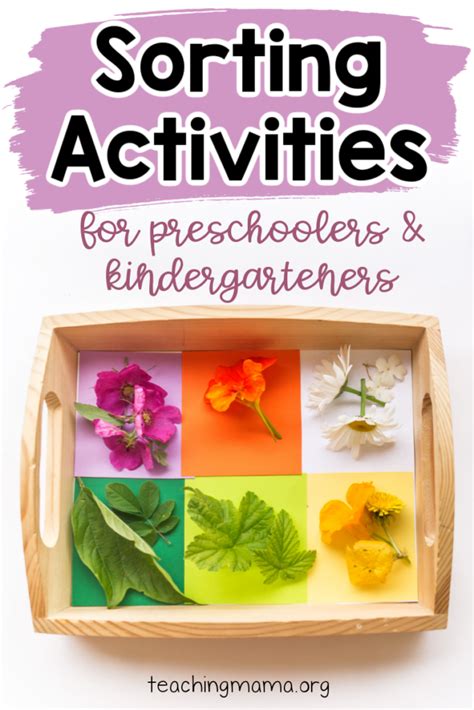 Simple Sorting Activities For Preschoolers And Kindergarteners Laptrinhx News