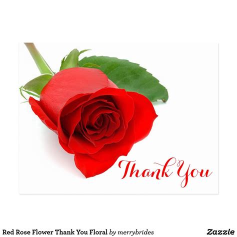 Red Rose Flower Thank You Floral Postcard Red Rose