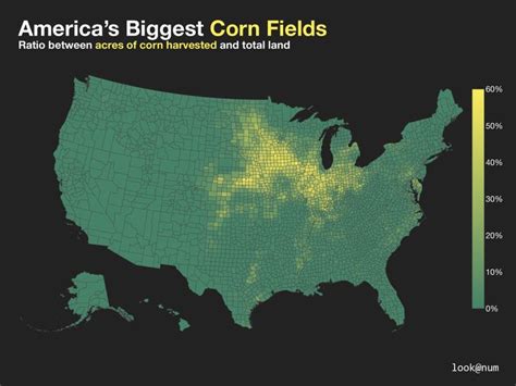 Corn Belt States Vivid Maps Human Geography America Fields