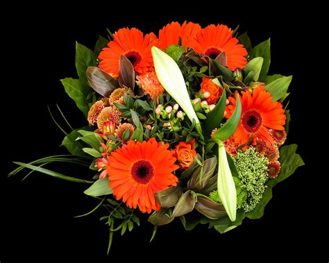 Bouquets De Fleurs Pour Anniversaire