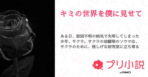 キミの世界を僕に見せて 全1話 【連載中】（ソナさんの小説） 無料スマホ夢小説ならプリ小説 Bygmo