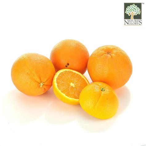 Orange Navel Australia Organic Fruit Na 8131p Natures Glory