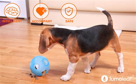 Dog Treat Ball 5” Interactive Iq Treat Dispensing Ball Toy With