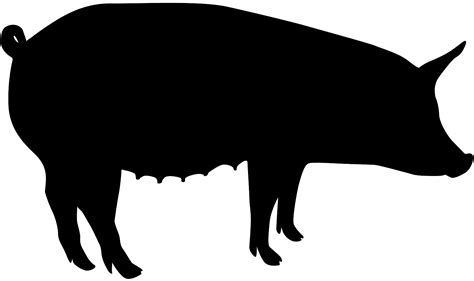 Pig Silhouette Free Vector Silhouettes