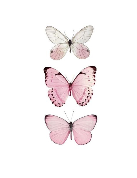 Pink Butterfly Butterfly Butterfly Print Pink Butterfly Etsy