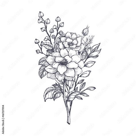 Hand Drawn Flower Bouquet In Sketch Style Vector Plants Stock Vector