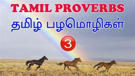 Tamil Proverbs Part 3 Youtube