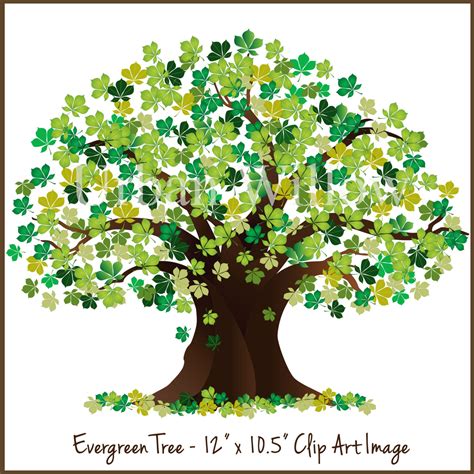 Oak Tree Realistic Clipart To Add To Photoshop 20 Free Cliparts