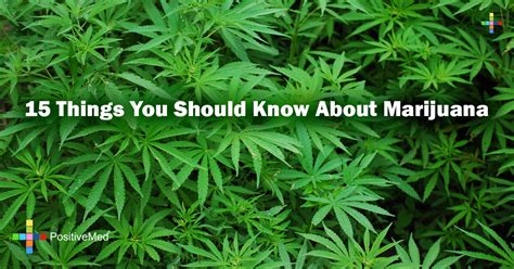 You should all be proud of what a compassionate, sensitive and motivational bunch you all are. 15 Things You Should Know About Marijuana - PositiveMed