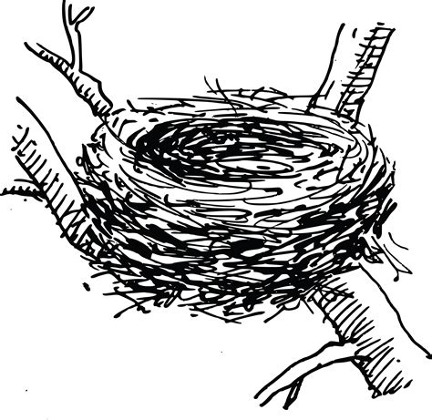 Free Clipart Of A Bird Nest
