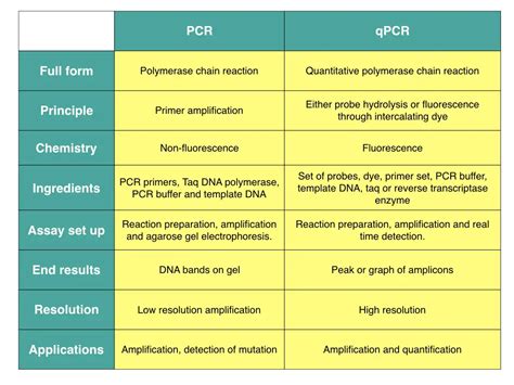 Pcr What Are The Differences Between Pcr Rt Pcr Qpcr And Rt Qpcr The