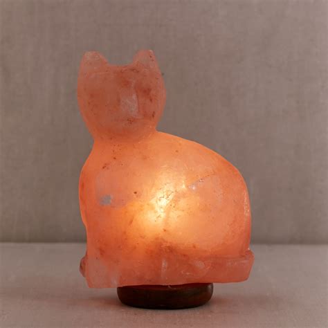Our cat has a spa time with our salt lamp, it's the cutest thing ever! Himalayan Salt Lamp Cat