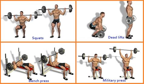 4 Most Effective Muscle Building Exercises All