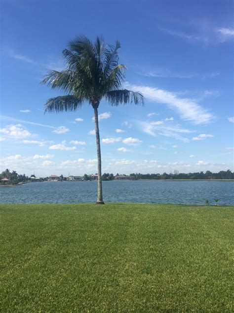 Video i 4k og hd klar til næsten enhver nle nu. Home Inspectors in Fort Myers, Florida (Lee County)